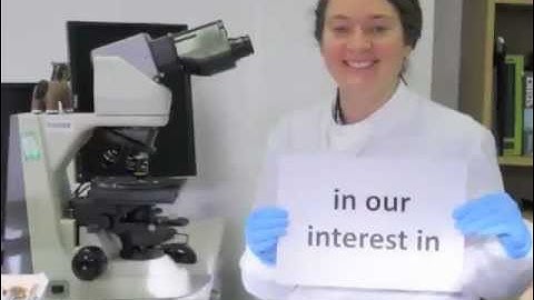 Online Learning | Global Health Academy | The University of Edinburgh