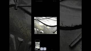 Die progression of the "Phantom of Larose"
