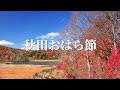 秋田おはら節(浅野和子)秋田県民謡