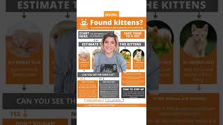 📢 What to do if You Find KITTENS 📢🧡 by Best Friends Animal Society 178 views 1 month ago 1 minute, 30 seconds