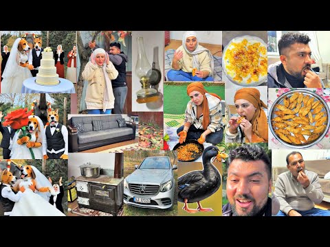 طبخنا أكلة أول مرة تسمعو فيه شمشاموك اشترينا بطات أسود عرس للكلاب في بيت الضيعة