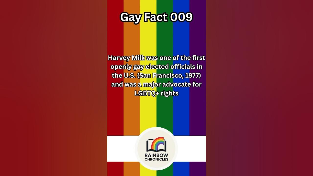 Mind Blowing Halococo Facts You Need To Know - yv14b4q