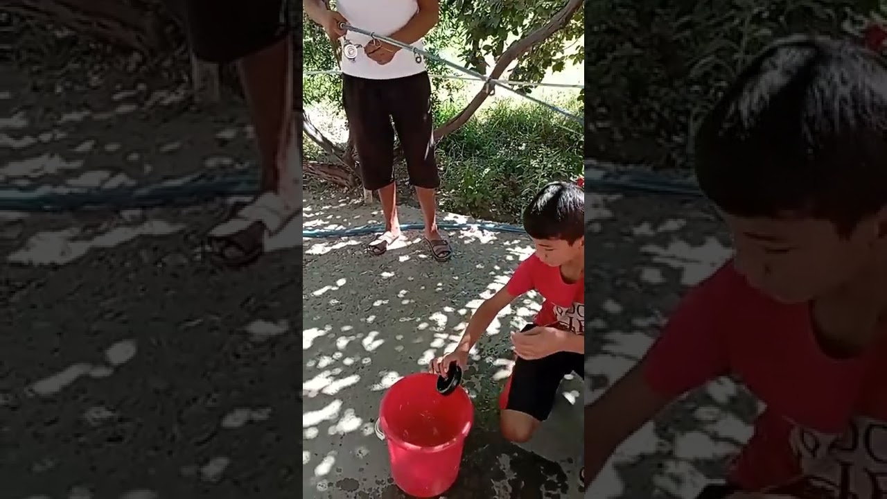 Kinoda porno videolarni tomosha qiling