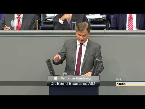 Bernd Baumann: Geschäftsordnungsdebatte