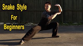 Shaolin Kung Fu Wushu Snake Style Basic Training For Beginners