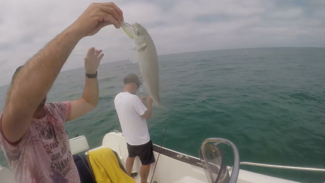PECHE DU BAR  bassin d'Arcachon