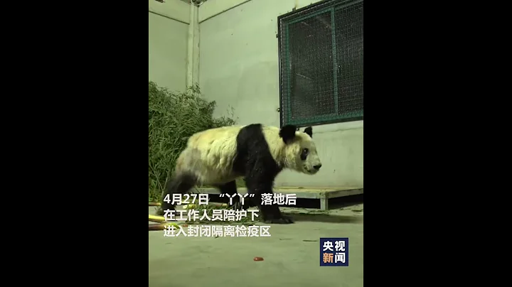 「丫丫」落地後首次露面，還對着鏡頭打招呼！歡迎回家！| CCTV - 天天要聞