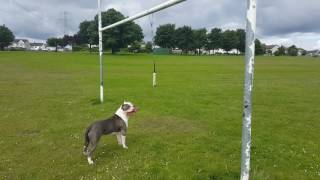 Rohan First Time Spring Pole Part 2