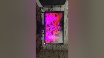 #pink screen pc background problem