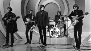 The Byrds  - Hey Joe  (1966)