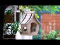 DIY Wooden Bird Feeder