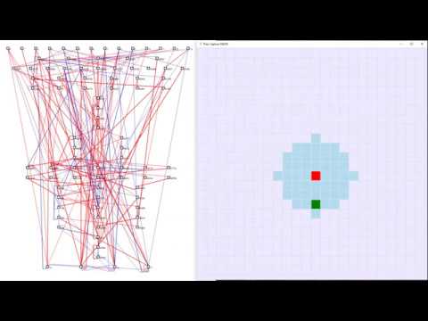 An Evolved Controller for the Prey Capture Task