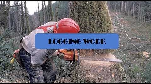 FINAL ASSIGNMENT DMOSH 1B (INTRODUCTION TO RISK MANAGEMENT DMS 2123)