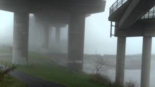 Wicked Fog Thomas Knight Park South Portland, Maine