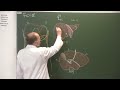 Abdomen et pelvis 9  anatomie du foie