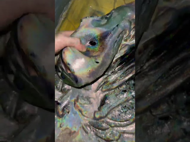 Black Holo Mixing 🖤 NEW SLIMES RESTOCKED NOW ON PARAKEETSLIMESSHOP.COM 🛒
