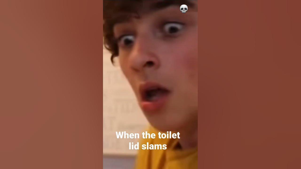 when the toilet lid slams YouTube