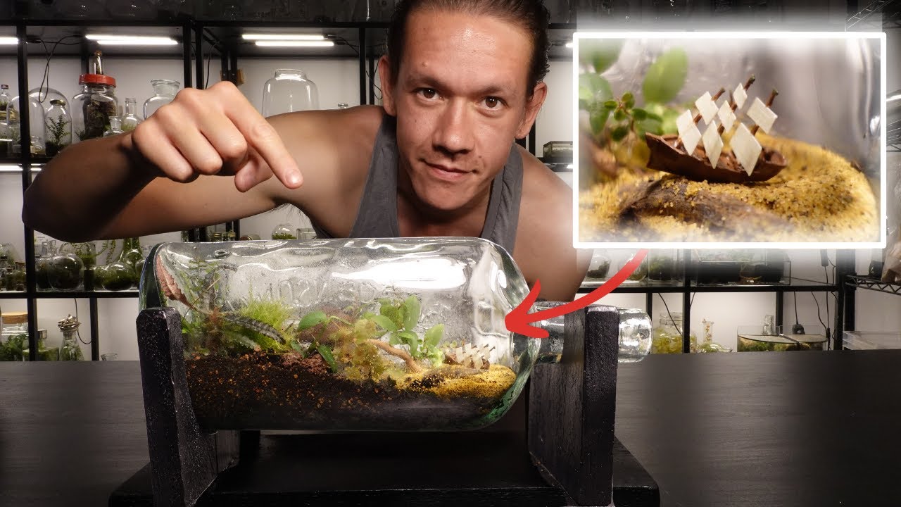 Ship In A Bottle Terrarium Build Relaxing Terrarium Art YouTube