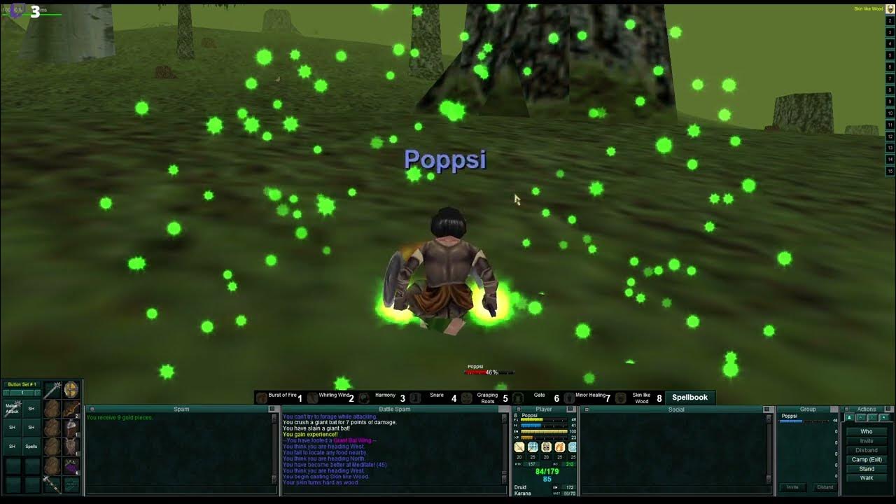 Everquest P99Green My custom edit of DuxaUI. YouTube