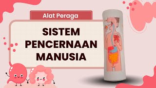 ALAT PERAGA 'SISTEM PENCERNAAN MANUSIA' ALAT PERAGA 'SISTEM PENCERNAAN MANUSIA'