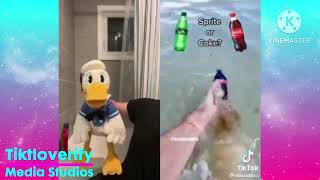 Donaldducc Guessed Everything Wrong Compilation