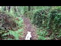 Caminhada rotineira com meu cão Dime em Estorãos/Fafe.
