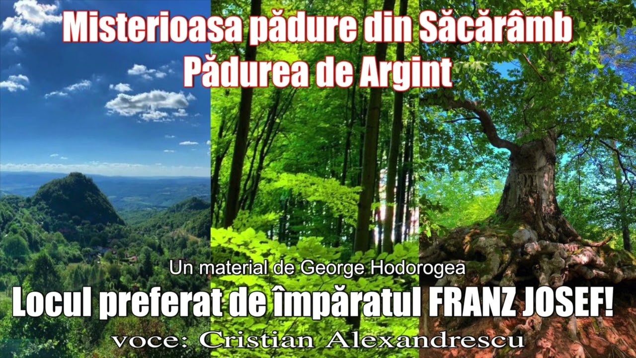 Misterioasa Padure Din Sacaramb, Padurea De Argint * Locul Preferat De Imparatul FRANZ JOSEF!