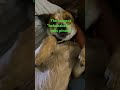 I’ll do it but like and subscribe please
