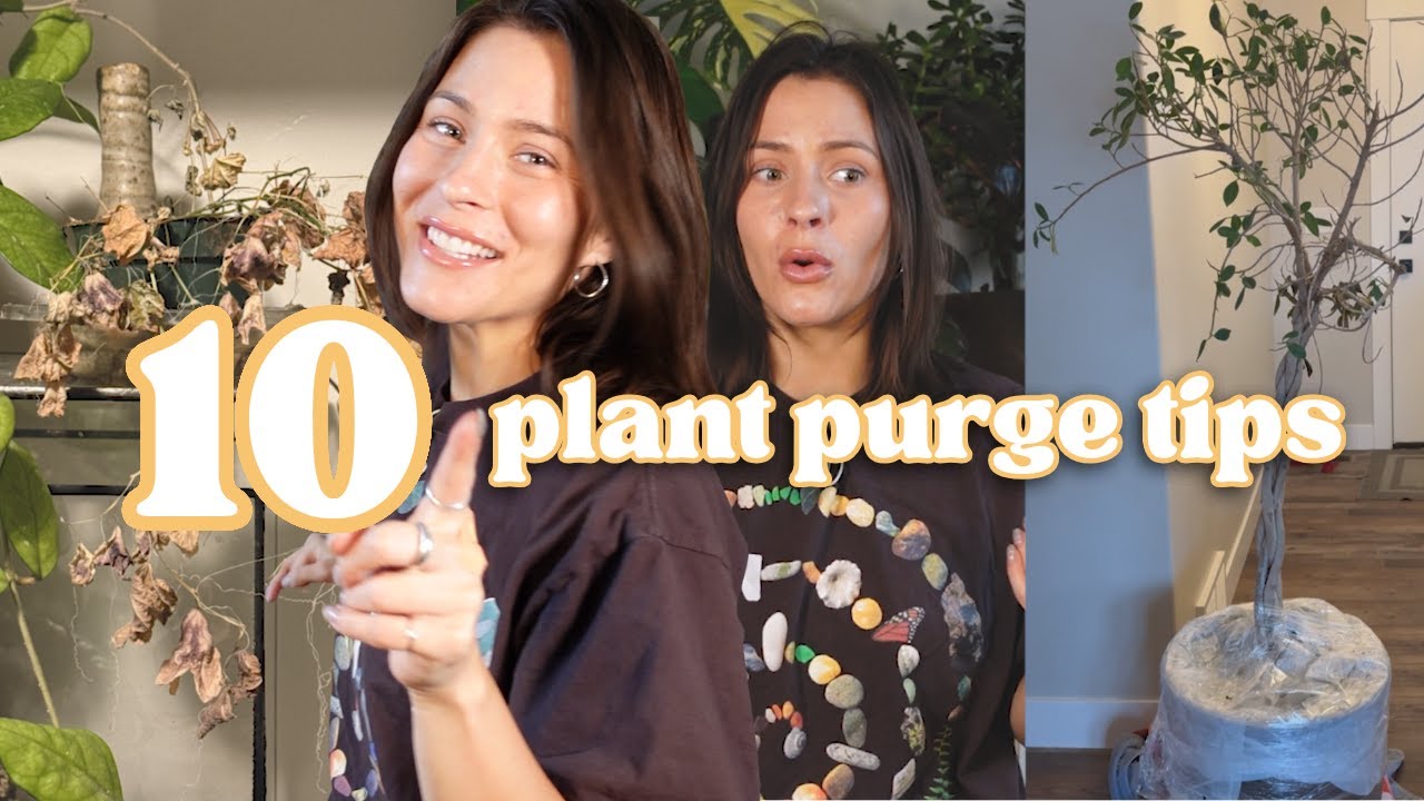 Plant Collection Too Big? Here's How I Fixed Mine Tips & Tricks