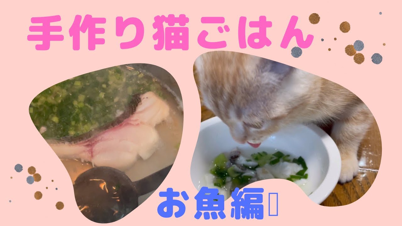 手作り猫ごはん 初めてのお魚で好き嫌いが判明 Youtube