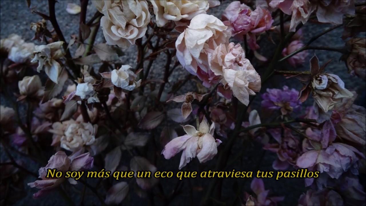 Citizen Flowerchild (Sub Español) YouTube