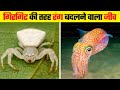 ये हैं रंग बदलने वाले अनोखे जानवर | Animals That Can Change Their Color