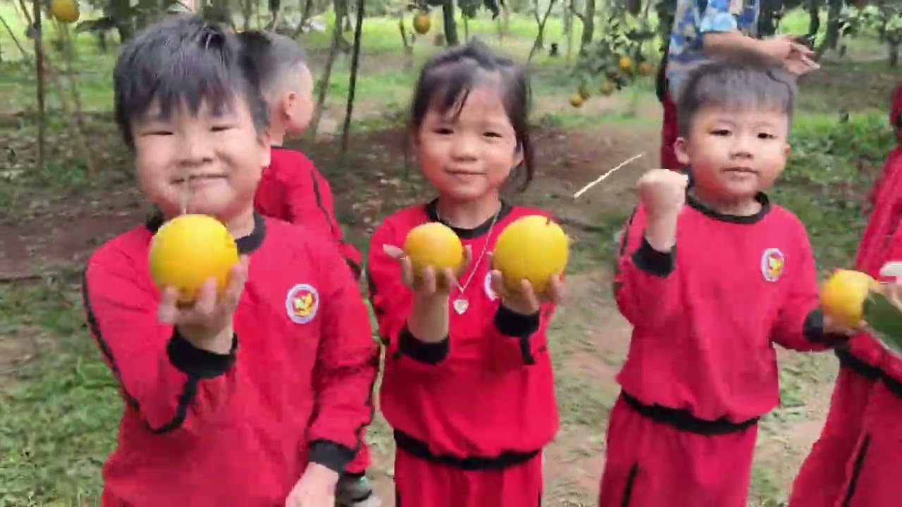 Hoạt động trải nghiệm vườn cam 