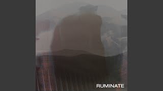 Ruminate