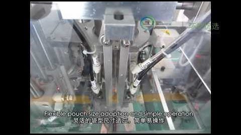 VD116Y Linear Type Premade Pouch Packaging Machine+Volumetric Cup+Zipper Flat Pouch