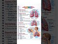 This important golden points you should know about your lungs #nurses #viralvideo #nursing #shorts