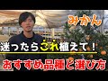 【みかん】美味しく育てるために必要な品種の選び方教えます 【家庭菜園】