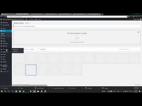 Help Wordpress loading invisible images