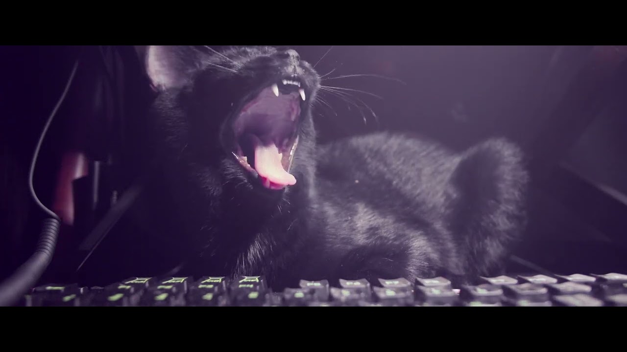 realistic cat figurine