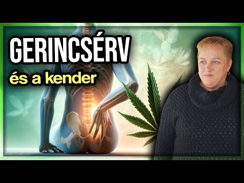 Gerincsérv tüneteinek kezelése gyógynövénnyel