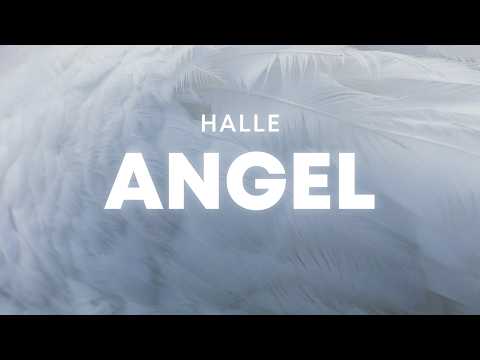 Halle - Angel (Lyrics)