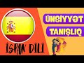 🇪🇸 İspan dilində ÜNSİYYƏT VƏ TANIŞLIQ ifadələri | İspan dili #6