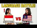 How similar are they can they understand each other indonesia vs malaysia