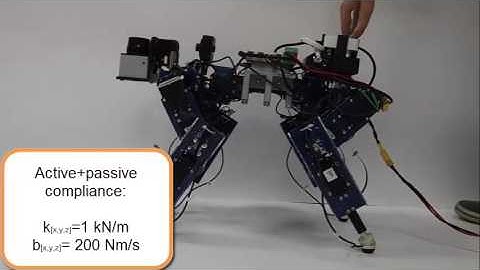 Dynarobin - Compliance control
