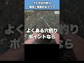 ウナギの穴釣り理想と現実のギャップが辛すぎる