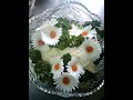 Искусство украшения блюд,САЛАТОВ/ The art of decorating dishes, SALADS