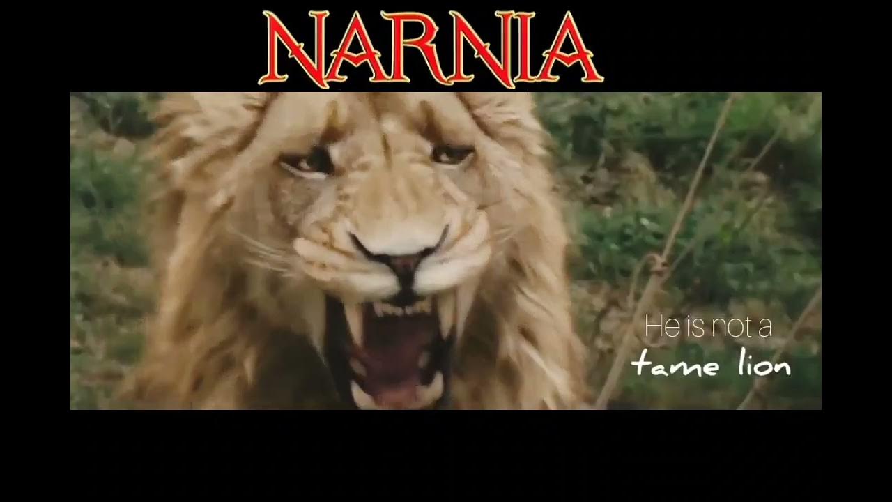 Chronicles of Narnia Aslan he's Not a Tame 