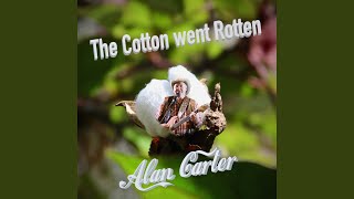The Cotton went Rotten