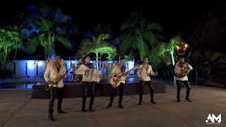 Música ligera,Así es la vida,Me voy,Creo estar Soñando,Golpes en el Corazón y Adiós Amor  Son de Oro