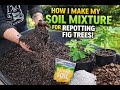 How I Make the Perfect Soil Mix for Fig Trees (Beginner Friendly)